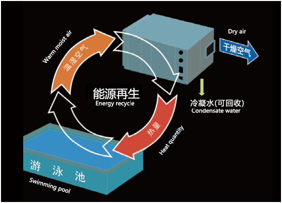 游泳館除濕機(jī),泳池專用熱泵型除濕機(jī)泳池除濕機(jī)